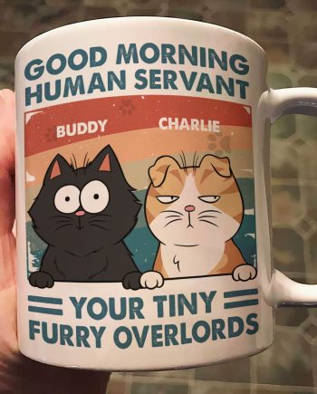 Good Morning Human Servant - Personalized Mug